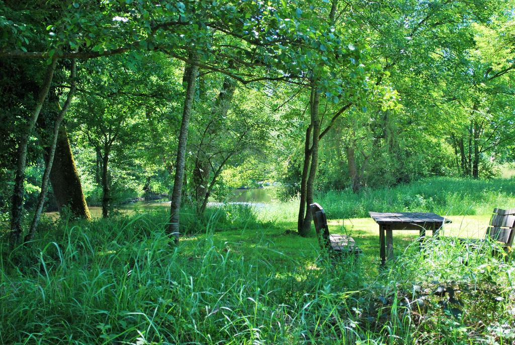 Domaine Les Gandins Bed & Breakfast Saint-Germain-de-Salles Ngoại thất bức ảnh